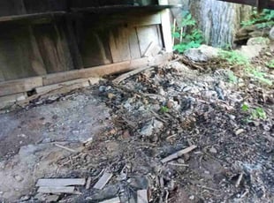 Cleanups by Reginald White for Tracy S. in Kansas City, MO