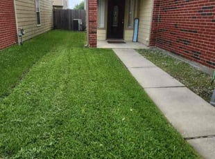 Sara A.'s Grass Cutting service result