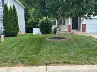 Felicia C.'s Lawn Mowing service result