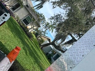 Ray C.'s Lawn Maintenance service result