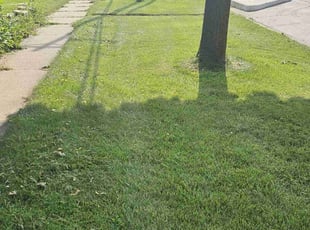 Crystal M.'s Lawn Mowing service result