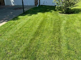 Michael L.'s Lawn Care service result