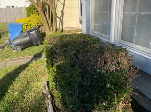 Bush Trimming by Wayne Bryant for La'Trice H. in Virginia Beach, VA