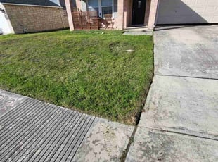 Cleanups by Jason Westgor for Megan M. in San Antonio, TX