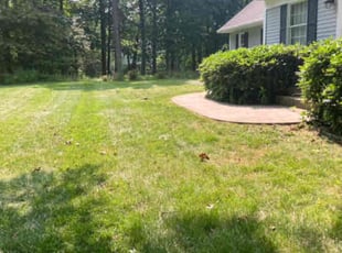 Rhonda S.'s Lawn Service service result