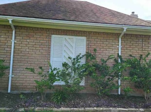 Weeding by Briana Rivera for Javier V. in Richmond, TX