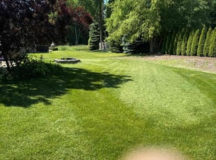 Warren K.'s Lawn Maintenance service result