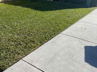 Julia P.'s Grass Cutting service result