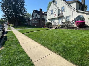 Rose J.'s Lawn Service service result
