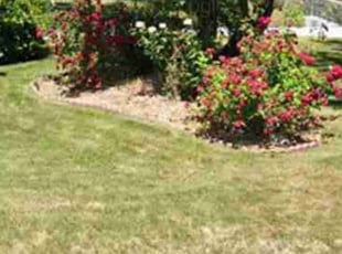 Bush Trimming by Randy Glidewell for Stacey B. in Spokane Valley, WA