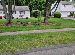 Annie L.'s Lawn Care service result