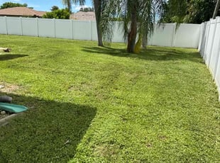 Araceli O.'s Lawn Service service result