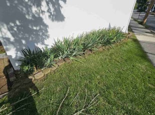 Cleanups by Branden Reichard for Theresa N. in Phoenixville, PA