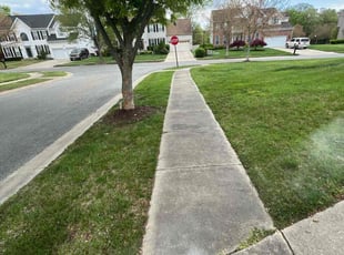 Leroy B.'s Lawn Care service result
