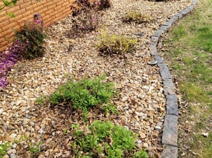 Leaf Removal by Joseph Cornett for Meghann N. in Springfield, MO