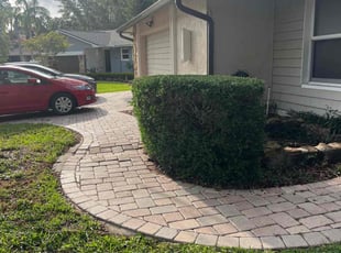 Bush Trimming by Felipe Dothe for Michelle K. in Safety Harbor, FL