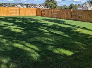 Courtney W.'s Grass Cutting service result