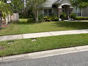 Billy G.'s Lawn Mowing service result