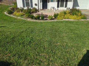 George H.'s Lawn Service service result