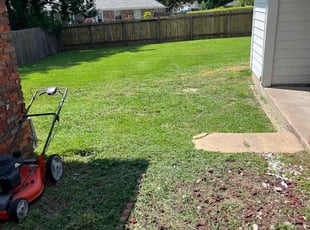 Renee J.'s Lawn Care service result