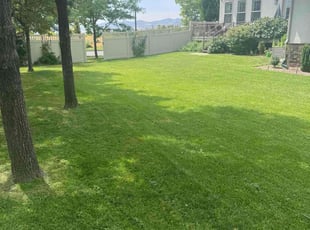 Livia L.'s Lawn Maintenance service result