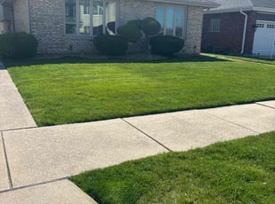 Karen G.'s Lawn Mowing service result