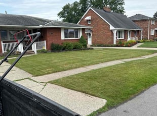 Lisa N.'s Lawn Mowing service result