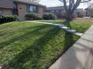 Leaf Removal by Trent Young for Laura Y. in Northglenn, CO