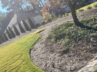 Julie R.'s Lawn Mowing Service service result