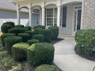 Bush Trimming by James Sengstack IV for IVORY J. in Locust Grove, GA