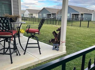 Hannah E.'s Yard Cutting service result
