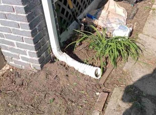 Weeding by Earnest Williams for Kadie W. in Columbus, OH
