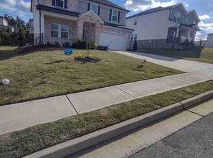 Camille S.'s Lawn Maintenance service result