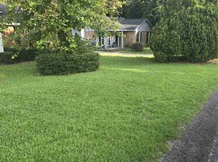 Katie T.'s Lawn Care service result