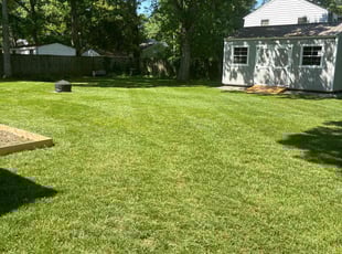 Rochelle F.'s Lawn Care service result