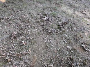 Cleanups by Daimond Hill for marlana h. in Memphis, TN