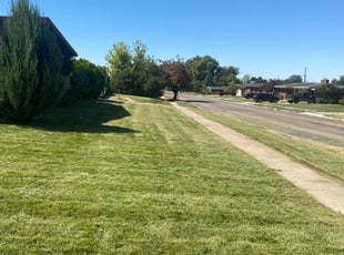 Laura L.'s Grass Cutting service result