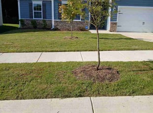 Jason D.'s Lawn Maintenance service result