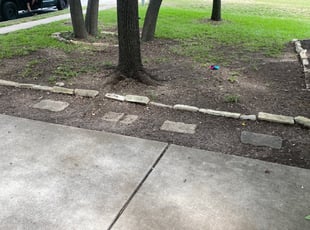 Leaf Removal by Chris Carr for Beau S. in Cedar Park, TX