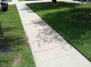 Daniel P.'s Lawn Service service result