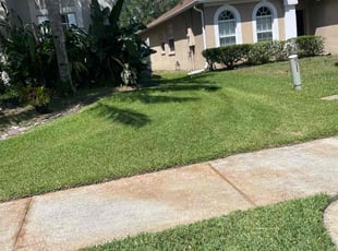 Cody E.'s Lawn Mowing Service service result