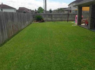 Erika D.'s Lawn Mowing Service service result