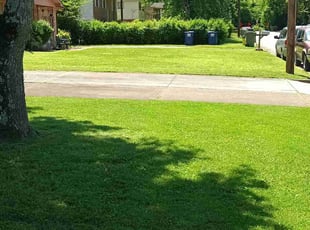 Ashley P.'s Lawn Care service result