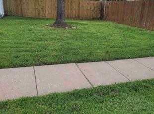Greg G.'s Lawn Mowing Service service result