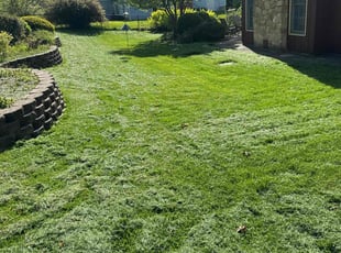 Stephan H.'s Lawn Care service result