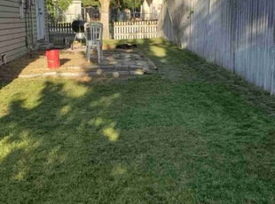 Larry D.'s Lawn Maintenance service result