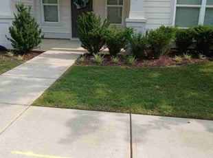 Diane L.'s Lawn Service service result