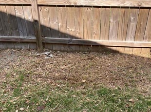 Cleanups by Bobby Steitler for Nydia M. in Portland, TX