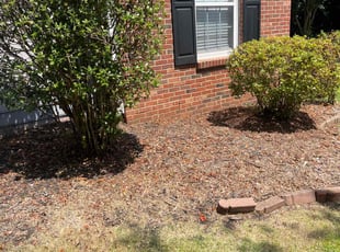 Weeding by Ronald Martin for Millicent S. in Charlotte, NC