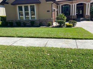 Arlene B.'s Lawn Mowing Service service result